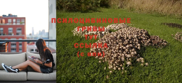 соль курить ск Балабаново